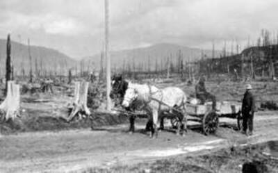 Spring team pulling a wagon. Donated by Dewey Huot through Priest Lake Museum.