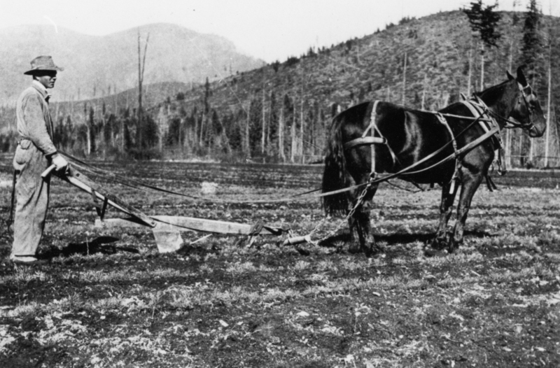 A man standing in a field holding a plow, which is being pulled by a horse. There are mountains and trees in the background.