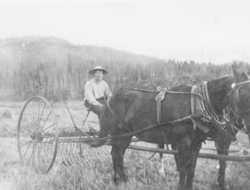 A person wearing a hat sitting on a horse-drawn farming implement in a field, with rolling hills and trees in the background.