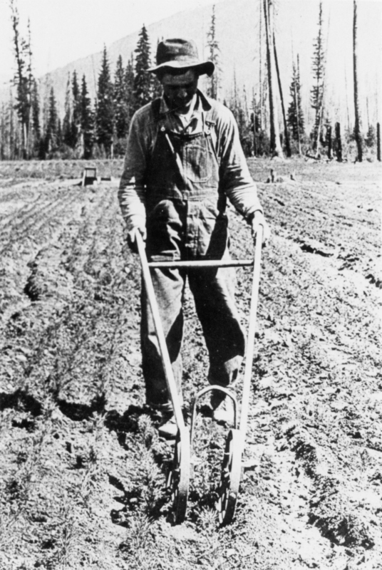 A man wearing overalls and a hat is using a manual plow in a field. Tall trees are visible in the background.