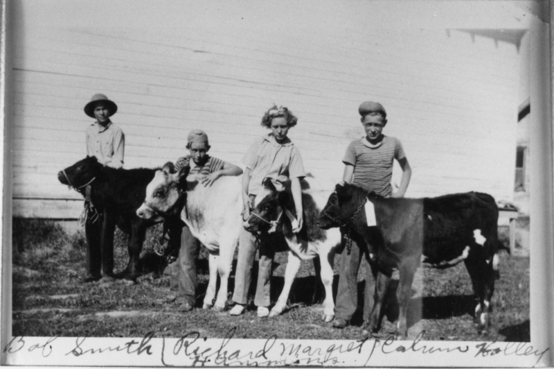 Four children standing on grass, each holding onto a small calf. They are positioned side by side, with a building wall in the background. The handwritten text at the bottom of the image reads: "Bob Smith, Richard, Margaret, Calves, Holley."