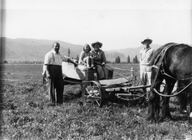 A man, woman, and child sitting on a horse-drawn cart in a field. Another man stands beside the cart, and a horse is at the front. Mountains and trees are visible in the background.