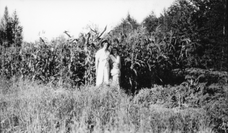 Two women and a child standing in front of a cornfield, surrounded by tall grass.