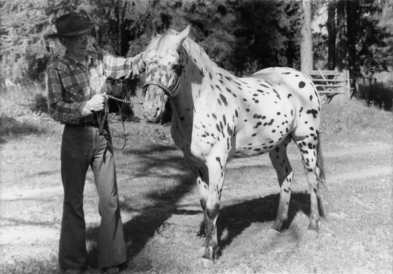 A person wearing a cowboy hat and plaid shirt stands next to a spotted horse, holding its lead. They are in an outdoor setting with trees and a fenced area in the background.