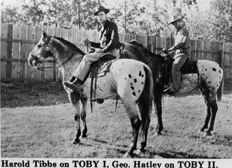 Two men sitting on horses in an outdoor area with a wooden fence in the background. The horse on the left has a speckled pattern, and the man riding it wears a dark shirt and light pants. The man on the right is wearing a hat and a shirt with light pants, riding a horse with a similar pattern. There is grass underfoot and trees visible beyond the fence. The text at the bottom reads: "Harold Tibbs on TOBY I, Geo. Hatley on TOBY II."