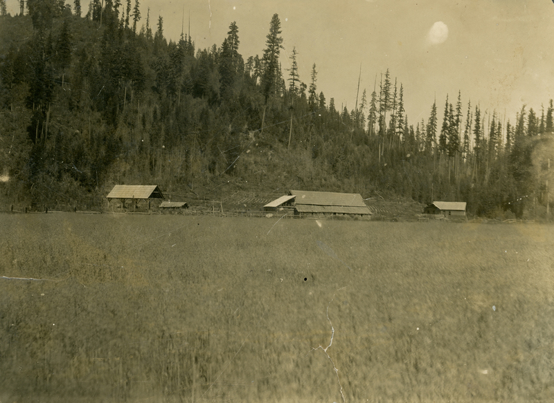 Buildings with sloped roofs stand amidst a field, bordered by a dense forest with tall trees.