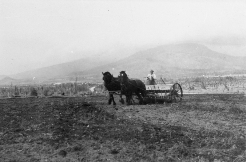 A person is riding a horse-drawn plow in a field. The landscape includes distant hills and what appears to be a sparsely vegetated area or orchard in the background.