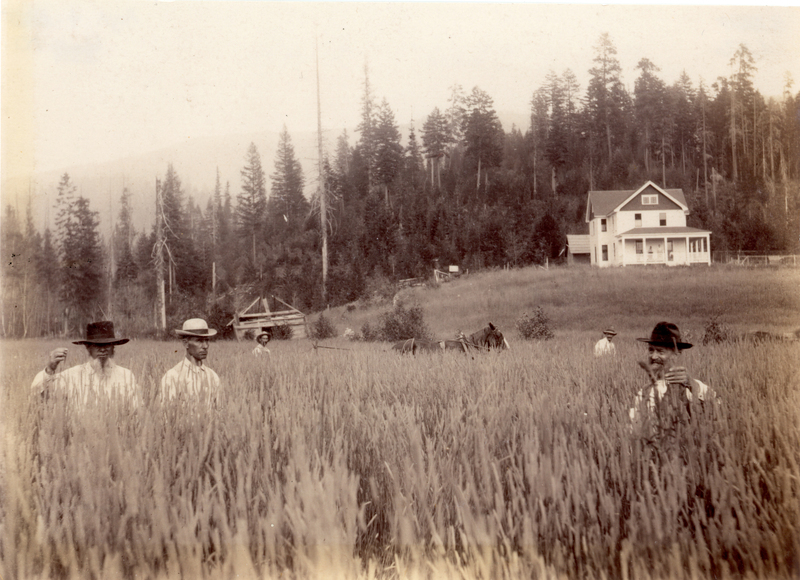 Several men stand in a field of tall grass, each wearing a hat and a long-sleeved shirt. In the background, a white house is visible at the edge of a forest with tall trees. A horse-drawn plow can be seen near the edge of the field.