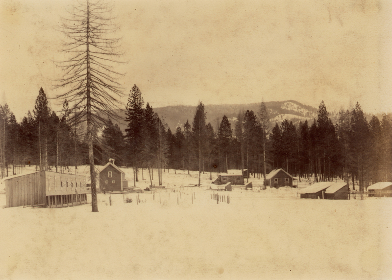 A snowy landscape with several wooden buildings surrounded by tall trees, mountains in the background.