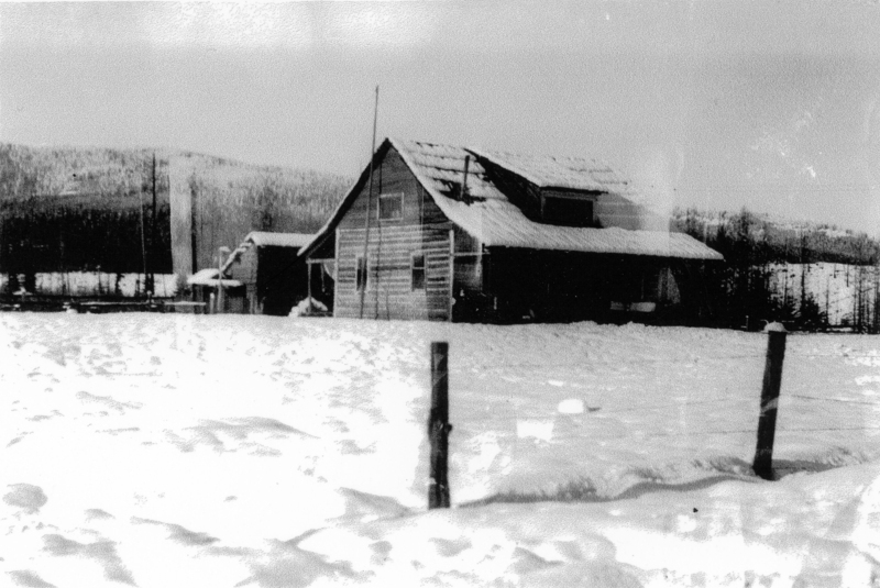 A wooden house stands in a snow-covered landscape with a slanted roof and a small porch. A fence post is visible in the foreground, and the background features a forest with hills.