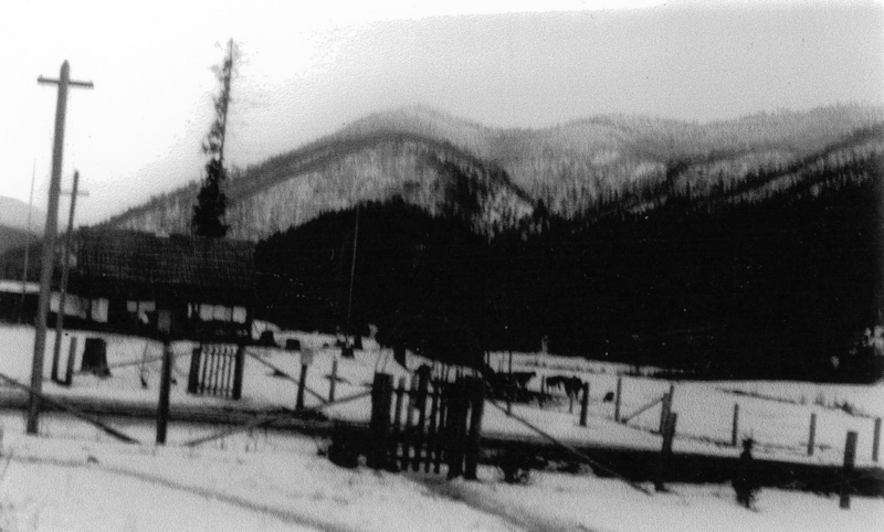 A snowy landscape with a few fences and telegraph poles. There is a structure with a slanted roof, possibly a small building or shed. Mountains covered in trees can be seen in the background.