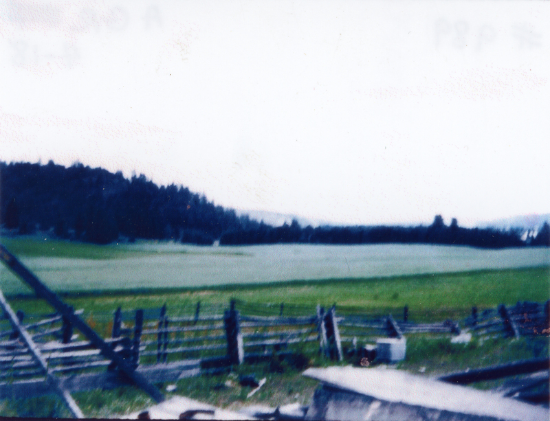 A landscape with grassy fields and a distant line of trees. In the foreground, there are wooden fences and some scattered objects.