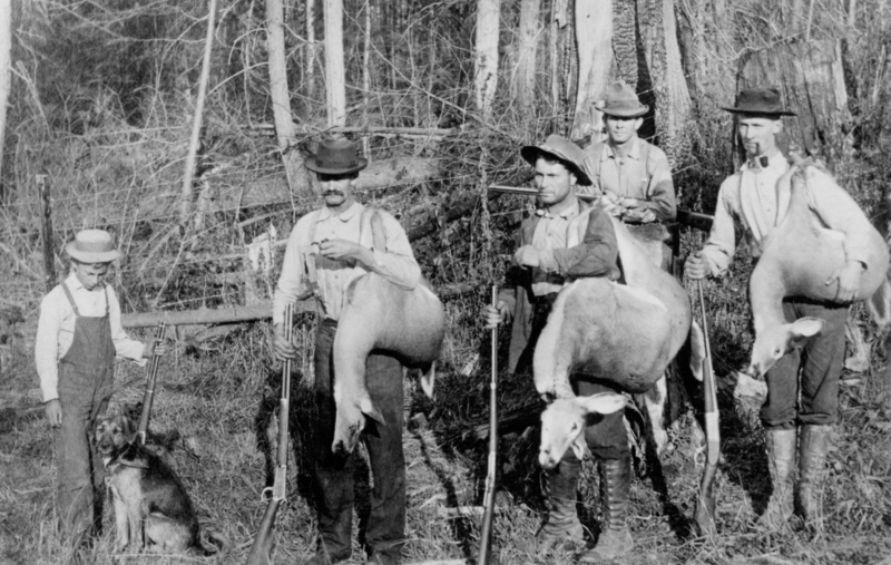 Five men standing in a wooded area, each holding rifles and carrying deer. A young boy stands with a dog in the foreground, holding a rifle. Trees and underbrush fill the background.