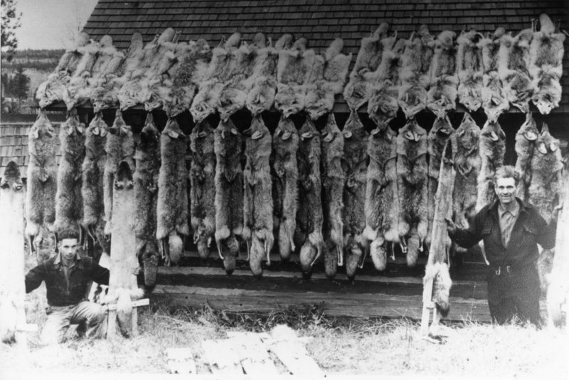 Two men standing in front of a wooden structure with many animal pelts hanging from it. One man is kneeling on the left, and the other is standing on the right. They appear to be displaying the pelts.
