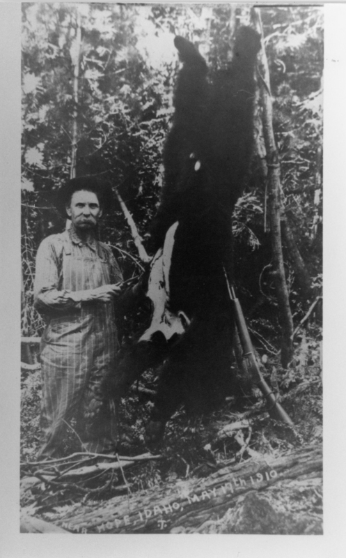 A man standing in a forest next to a bear hanging from a tree. He is holding a tool or instrument and wearing striped clothing and a hat. There is a rifle leaning against the tree. Logs and branches are scattered on the ground. The text near the bottom reads: "NEAR HOPE, IDAHO, MAY 9TH 1910".