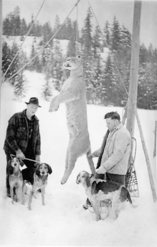 Two men stand in a snowy landscape with trees in the background. They are next to a large animal that is hanging from a wooden structure. Each man is holding a dog.