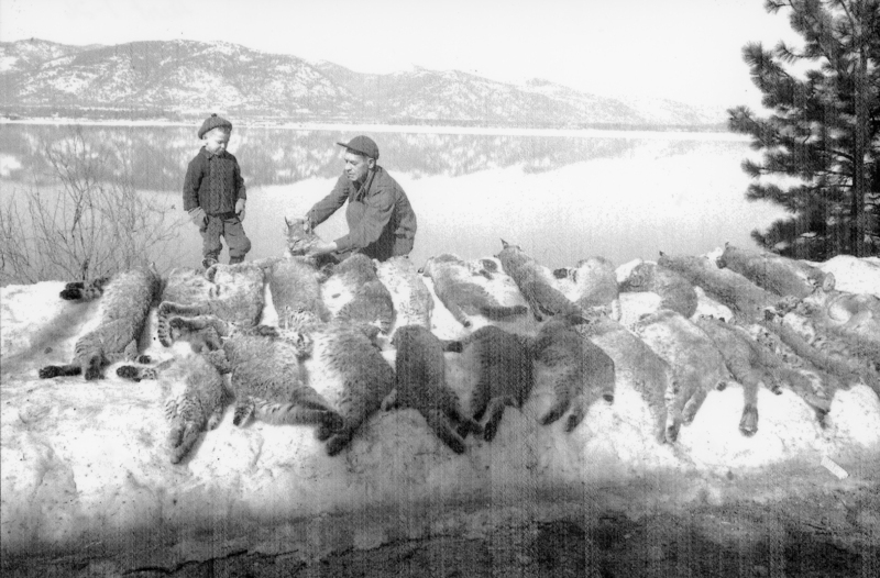 A man and a child stand on a snowy embankment beside a lake. The man is crouching and appears to be handling an animal. In front of them, several animal pelts are spread out on the snow. Mountains and trees are visible in the background.