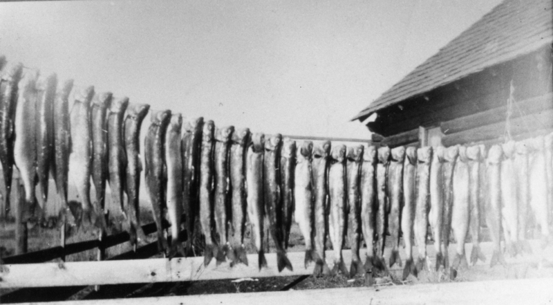 Fish hanging on a wooden rack outside a building with a sloped roof.