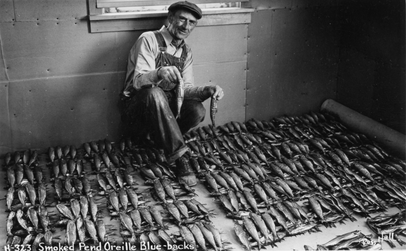 A man wearing overalls and a cap squats indoors, surrounded by rows of fish laid out on the floor. He holds one fish in each hand, smiling slightly. The background includes a partially visible window.