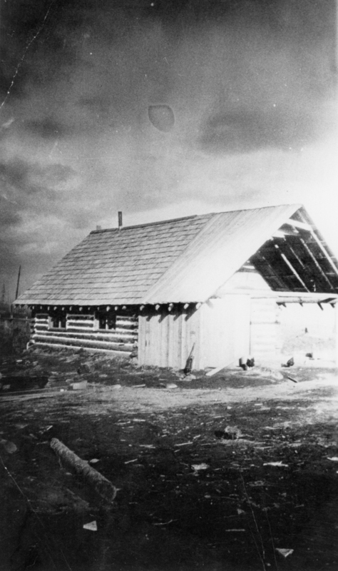 A small log cabin with a wooden shingle roof stands in an open area under a cloudy sky. Pieces of wood and debris are scattered on the ground around the cabin, and a few chickens are near the structure.