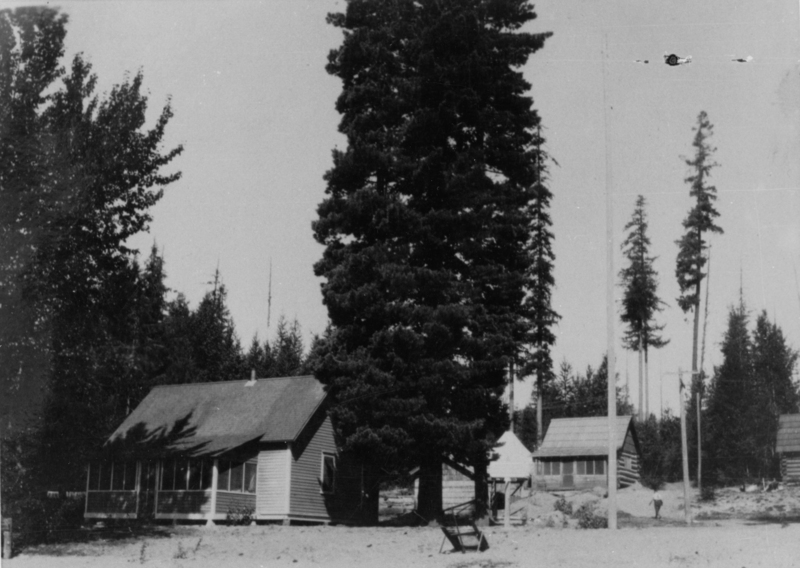 A small wooden cabin with a pitched roof is situated among tall trees. Two additional smaller cabins are visible in the background. A chair is placed in the sandy foreground, with more trees lining the horizon.