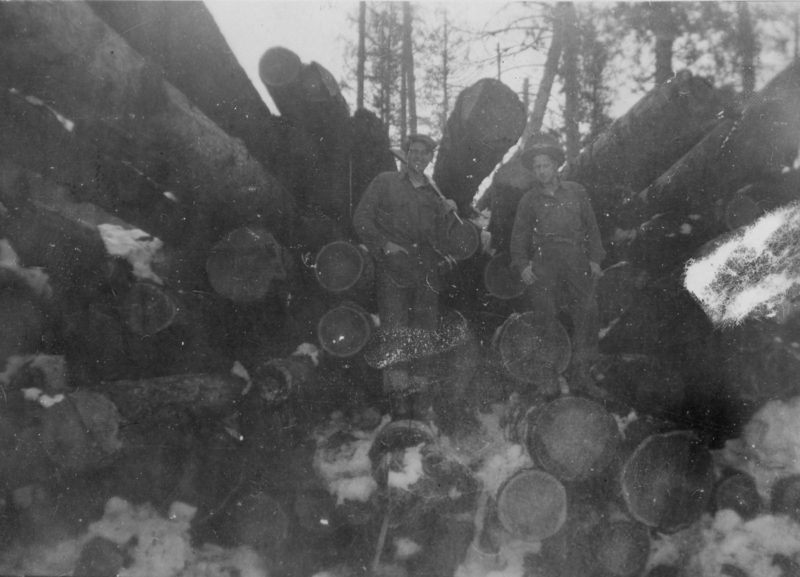 Two people standing in front of a pile of large cut logs in a snowy wooded area. They are wearing outdoor clothing and hats. Trees are visible in the background.