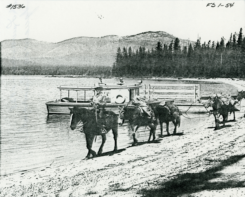 A person rides a horse along a lakeshore, leading a line of pack animals. A boat is moored nearby, and trees and mountains can be seen in the background. Text reads: - Top left: “#1536” - Top right: “FS 1-54”