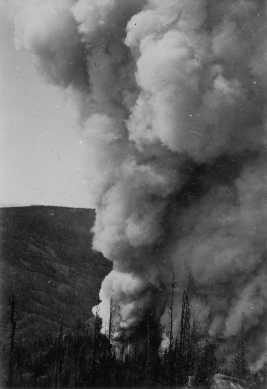 Thick smoke billowing upward from a forest fire, with trees in the foreground and a hillside in the background.