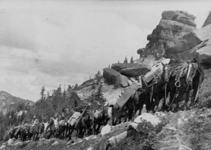 A line of pack horses carrying loads walks along a rocky mountain path. The landscape includes large boulders and trees, with mountainous terrain in the background.