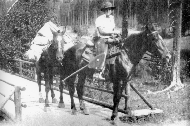 A person wearing a hat is sitting on a horse while holding the reins, with another horse carrying a large load walking beside them. They are crossing a wooden bridge in a wooded area.