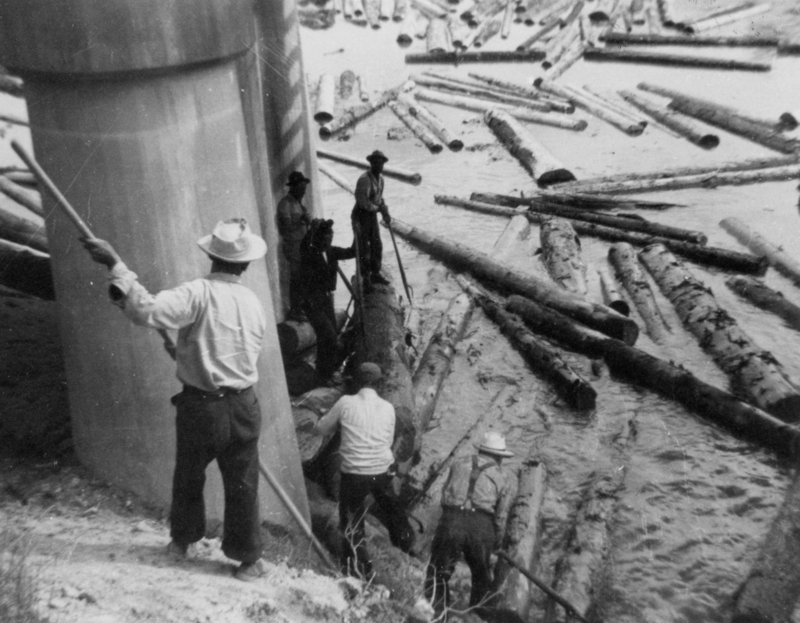 A group of men standing near a river, using long poles to manage logs in the water. They are positioned beside a large concrete structure. Some men are on the bank, while others are standing on the logs in the river. Logs are scattered throughout the water.