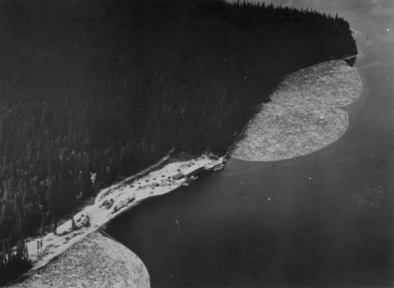 An aerial view of a dense forest along a coastline with a small dock and buildings. Logs are floating in the water, forming two large circular groups near the shoreline.