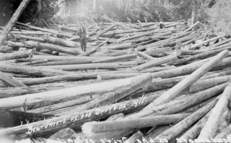 A man standing among a large number of logs completely covering a river. The handwritten text near the bottom reads: "Beardmore on the Drive of 1911."