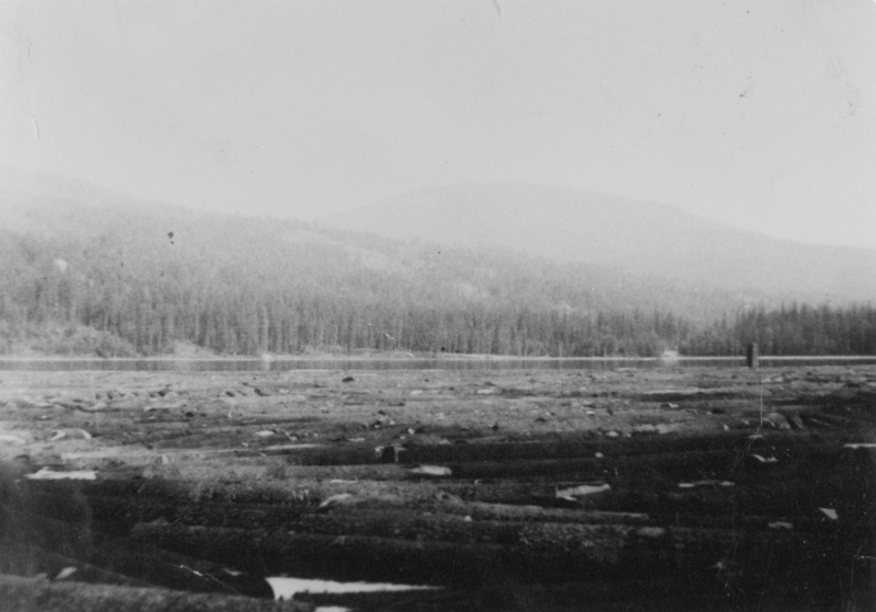 A landscape with a large body of water and a dense forest in the background. The foreground features a field with scattered logs. Mountains are visible in the distance.