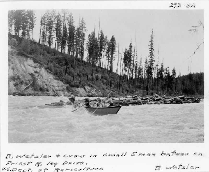 A group of people in a small boat navigating through a river with logs floating nearby. There are tall trees and a hillside in the background. Writing on the bottom of photograph reads: "B. Wettzler and crew in small 5 man Bateau on Priest River R. log drive. U.S. Department of Agriculture. B. Wetzler."