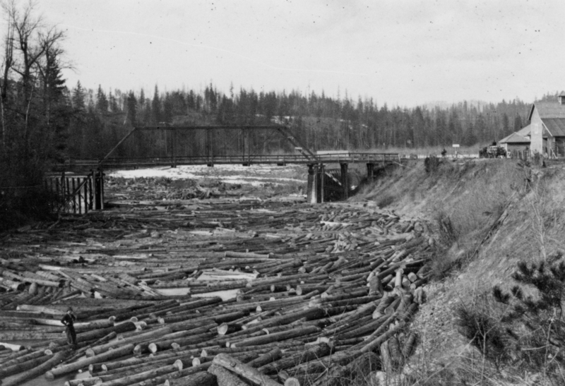 A river filled with numerous logs, with a steel bridge spanning across it. A person stands on the logs near the riverbank. In the background, there are dense trees, and a few buildings are visible near the bridge.