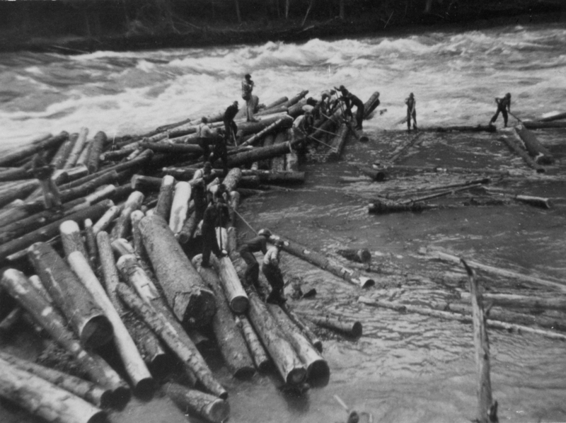 A group of people working on a river, maneuvering logs in the water.