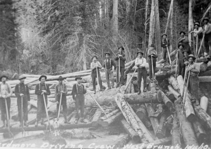 A group of men standing on and around a pile of logs in a forest. Each man holds a pike pole, and there is a dog standing on one of the logs. The environment is wooded, with large trees in the background.