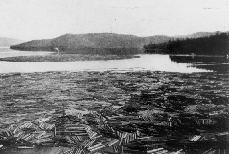A large body of water filled with logs floating on the surface, surrounded by forested hills in the background.