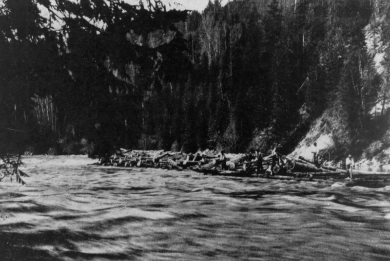 A group of people standing on a large pile of logs floating on a river, with dense forest in the background and some overhanging branches in the foreground.