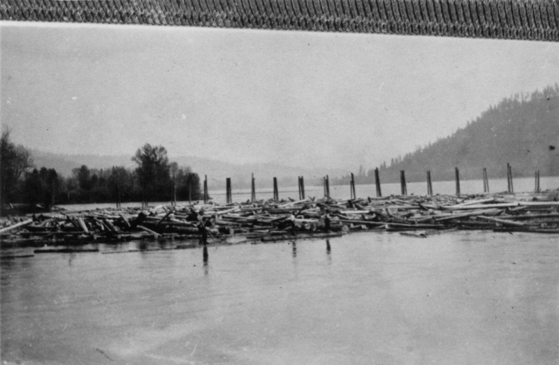 Logs floating on a river with vertical wooden posts in the background, surrounded by trees and hills.