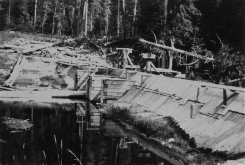 A wooden dam stretching across a body of water. Behind it, there is an area of fallen logs and debris. In the background, a dense forest is visible.