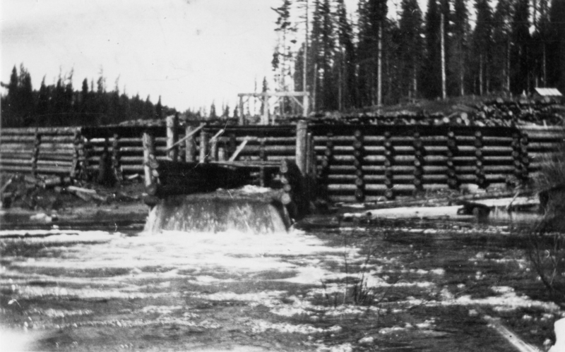 A log structure next to a flowing body of water, with trees lining the background.