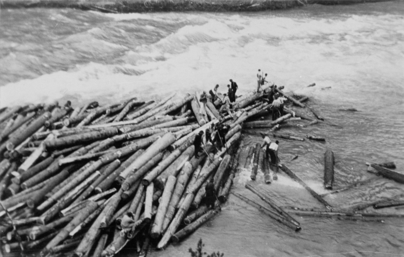 A group of people standing on and around a large pile of logs in a river, involved in log driving. The water appears to be flowing swiftly nearby.
