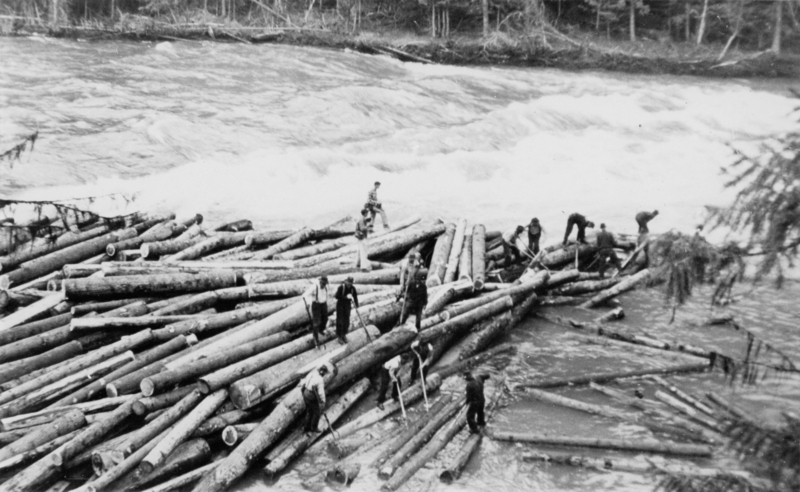 Several people standing on and around logs floating in a river, working to manage the logs as they move through the water. Trees line the riverbank in the background.