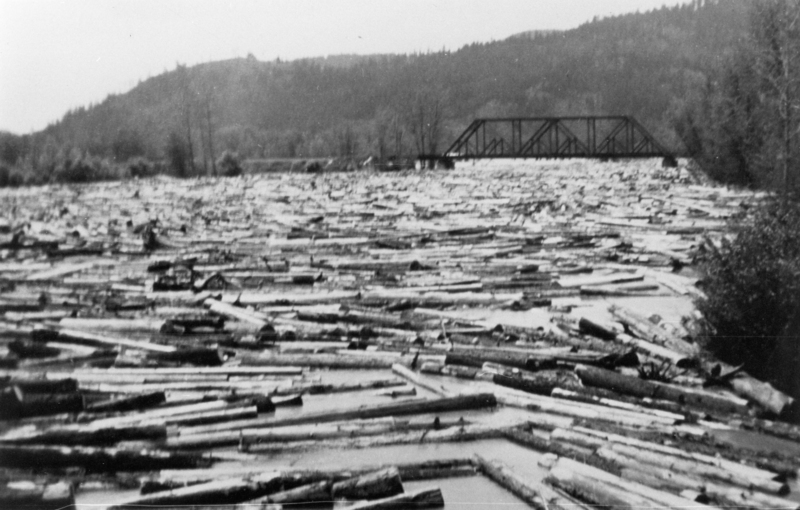 A river covered in numerous floating logs, with a bridge spanning across in the background and wooded hills surrounding the area.
