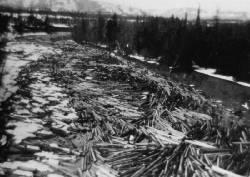 A river filled with numerous floating logs, surrounded by snow-covered banks and trees, with mountains visible in the background.