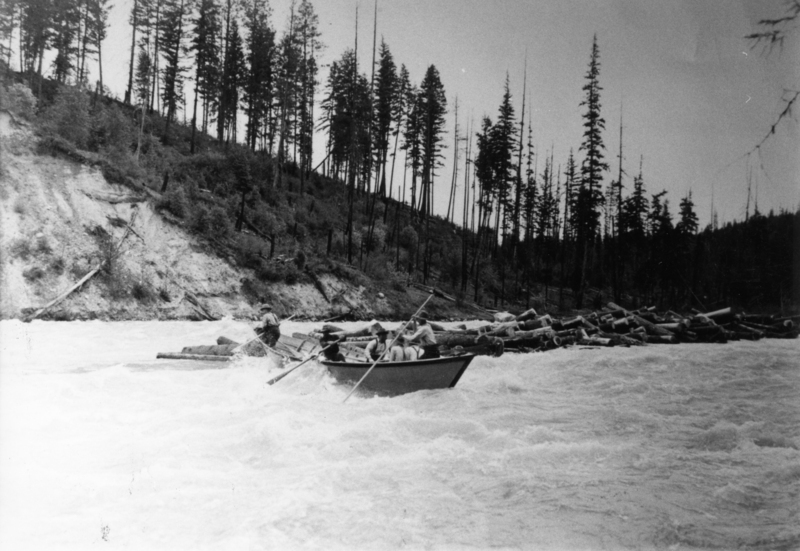 A group of people navigating a boat through rough waters, with logs floating nearby and a forested hillside in the background.