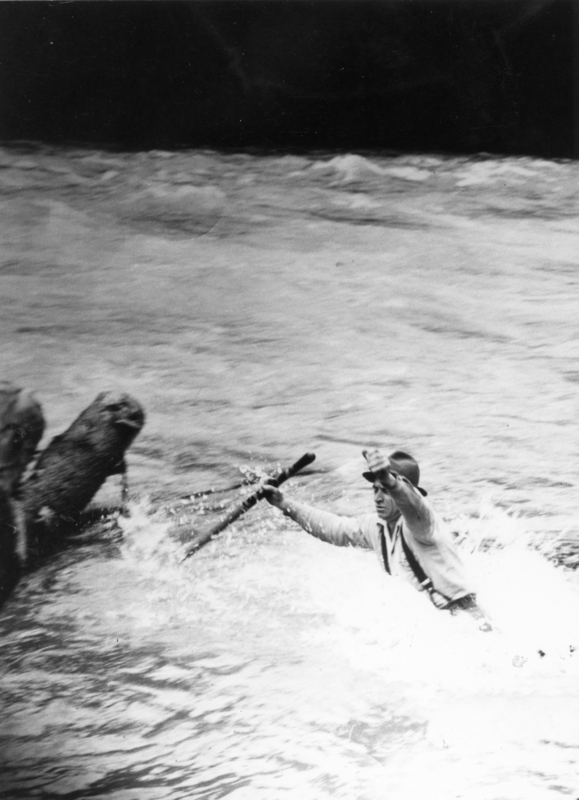A man wearing a hat, struggling in a river with a piece of wood, near a log or rock in the water.