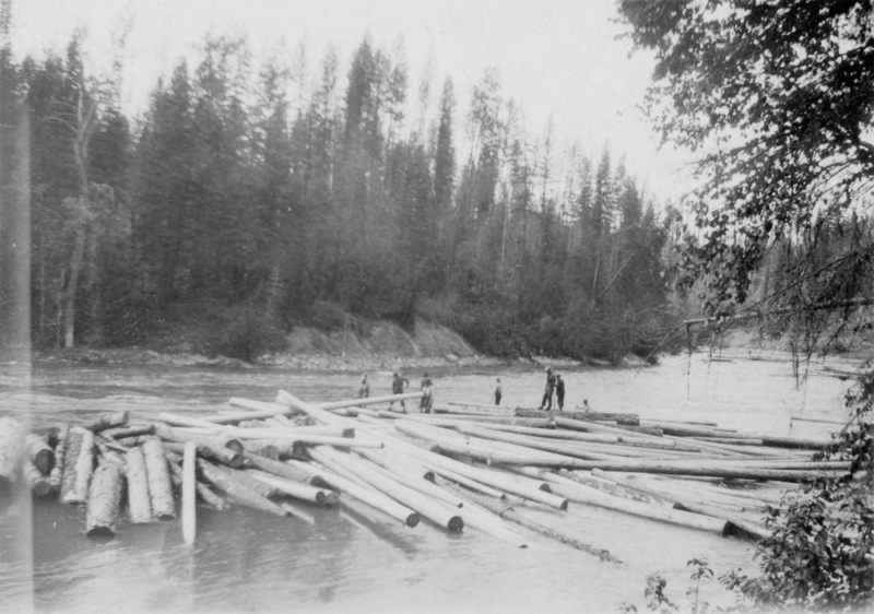 People standing on logs floating in a river, with a forest in the background.
